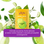 Mostre de parfum de rufe - 5 buc.