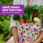 Voskované ubrousky - Multipack, Bloom & Orange Dots, XL/M/M/S