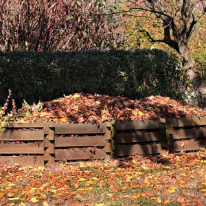 Compost de toamnă: Ce să adăugăm și ce să lăsăm pentru primăvară