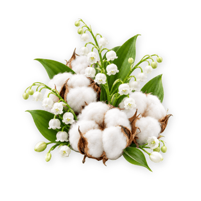 Floare de bumbac și lăcrămioară în parfumul de rufe Linen Cloud